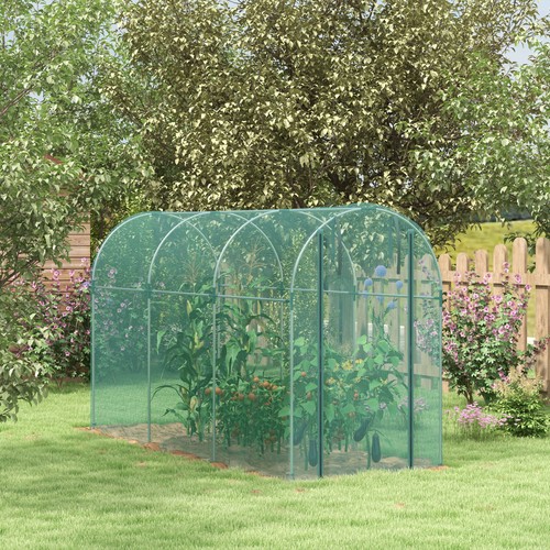 Fruit cage plant protection - plant,