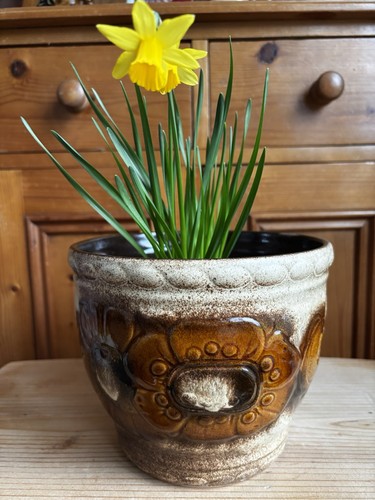 Vintage midcentury floral west - midcentury,