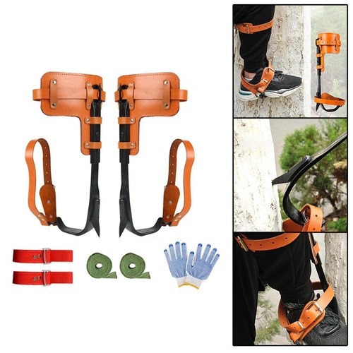 Tree climbing spikes - tree,