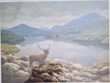 "Highland Stag" by Julian Friers, framed and double mounted Next D D
