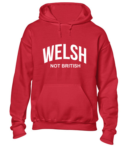 Welsh not british hoody - not, hoodie