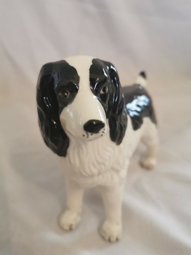 Black white spaniel dog - black&white,