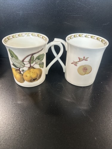 Royal horticultural mugs - 2,