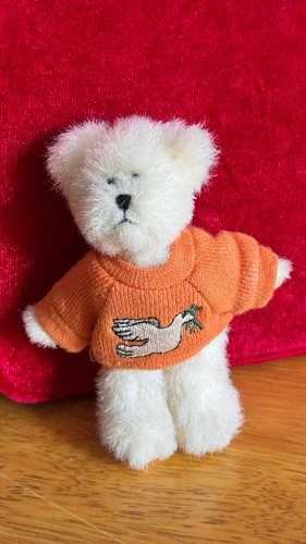 Small teddy bear plush - teddy,