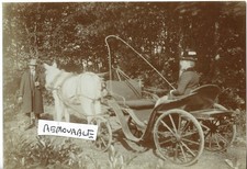 Vintage Old Photo Man Lady