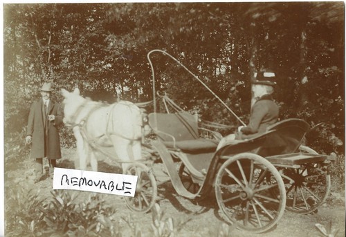 Vintage old photo - vintage,