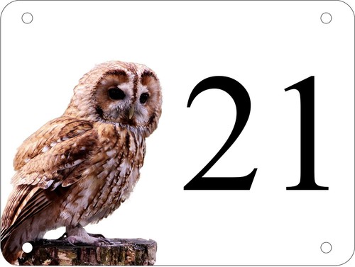 Personalised aluminium owl - aluminium,