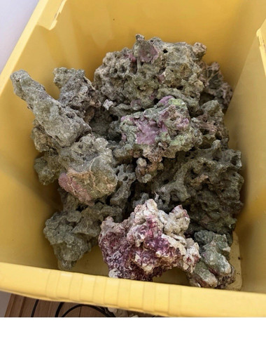Approx 20kg marine - approx,