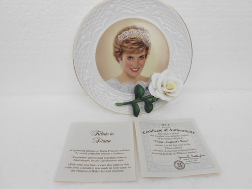 Diana england rose - england's,