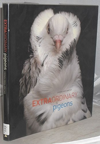 Extraordinary pigeons - pigeons, by