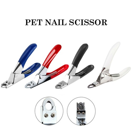 Pet nail clippers cat dog - nail,