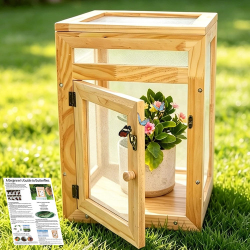 Butterfly habitat cage - habitat,