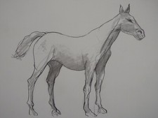 Pencil drawing horse sculpture