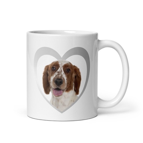 Love springer spaniel - i, my