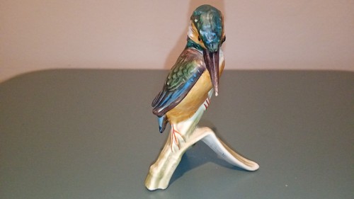 Goebel kingfisher bird - goebel,