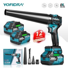 2 Battery Cordless Leaf Blower