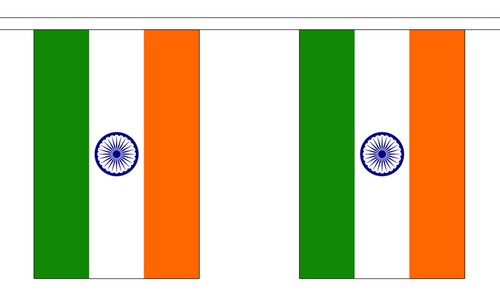 India metre bunting - 3,