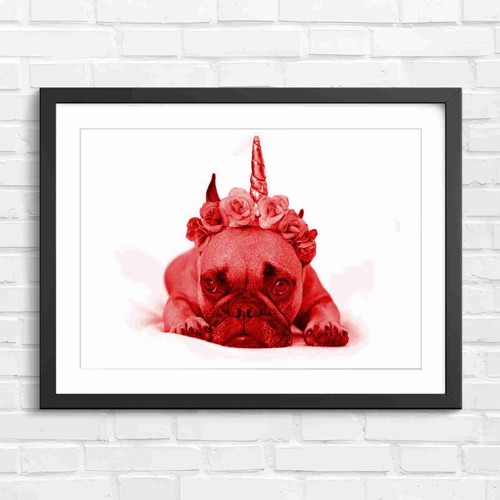 Adorable french bulldog with - adorable,