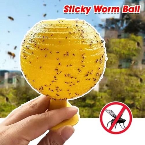 Pack indoor fly sticky - 1/,