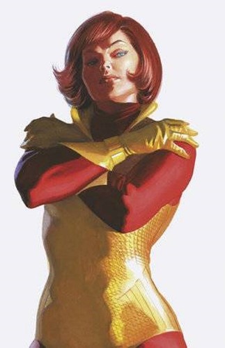Iron man alex - ross, timeless