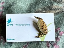 WWT Martin Mere Bittern