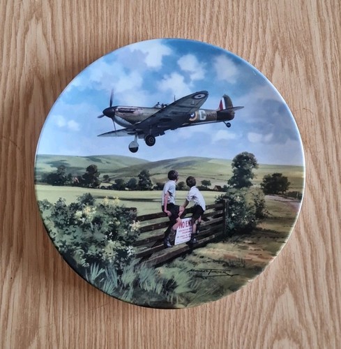 Royal doulton plate spitfire - royal,