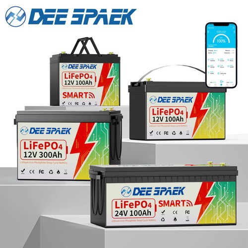 12v 24v 48v 100ah - 36/48v,