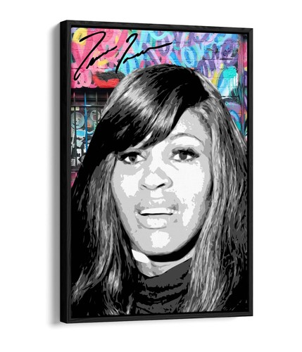 Tina turner graffiti - graffiti, style