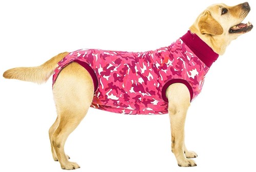 Suitical recovery suit - recovery, dog