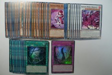 Plant black rose dragon - dragon, deck