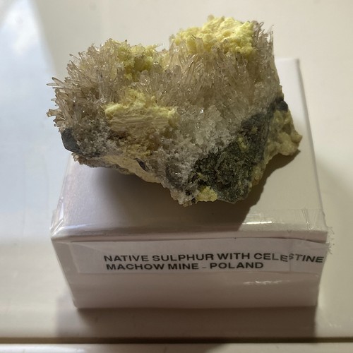 Native sulphur with celestine - native,