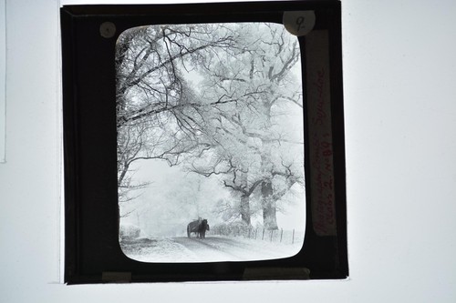 Winter landscape horse - landscape, drawn