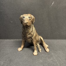 Frith bronze labrador - labrador, dog