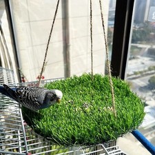 25cm parrot parakeet - 25cm, toy