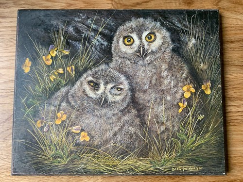 Vintage dick twinney - dick, owl