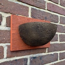 Swallow Nest Box Half Cup