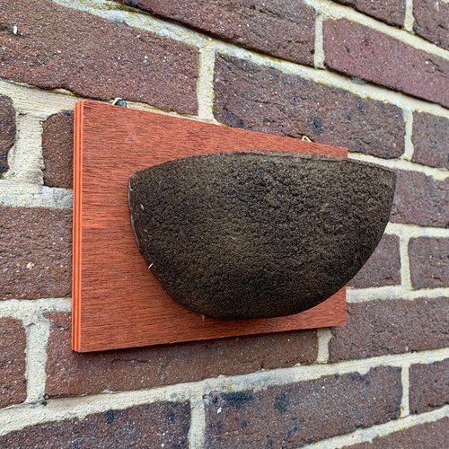 Swallow nest box - box, cup