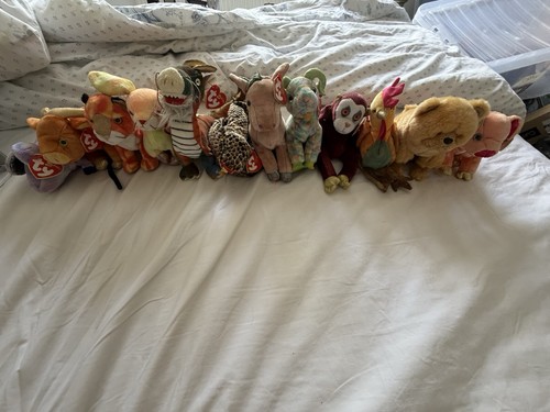 Beanie babies chinese - ty,