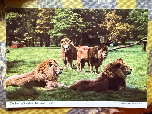 Postcards rare 1970 - postcards-, set