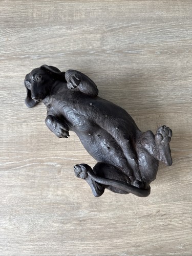 Doris lindner dachshund - dachshund, dog