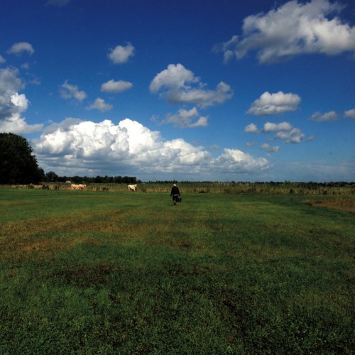 Biosphere the hilvarenbeek - :,