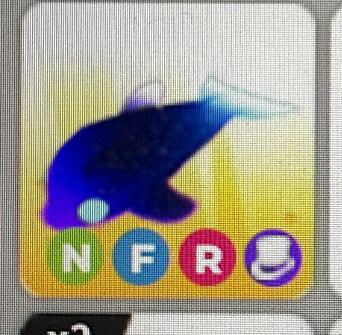 Nfr glormy dolphin - dolphin, me!!