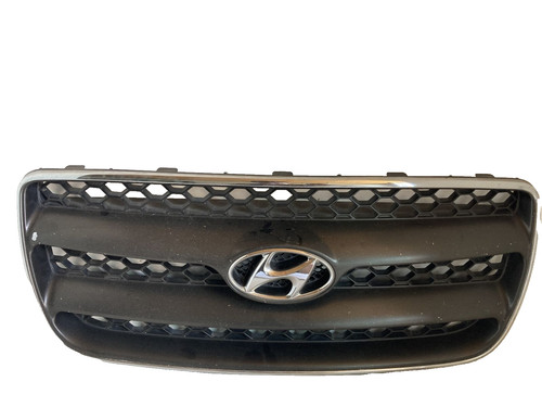 Hyundai santa front grille - santa,