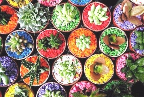 5kg colorful decorative sand - colorful,