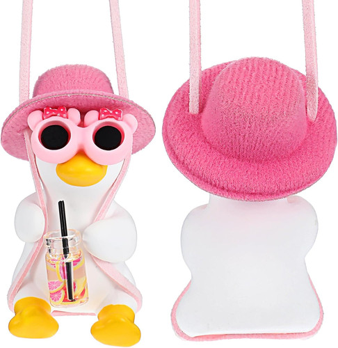 Swinging duck car - swinging,