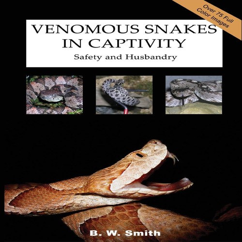 Venomous snakes captivity - venomous,