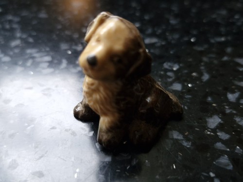 Wade whimsey mongrel dog - mongrel,