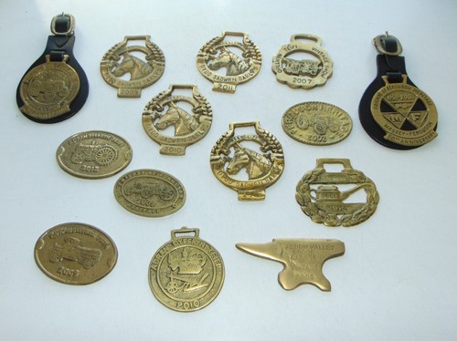 Vintage horse brasses - 14,