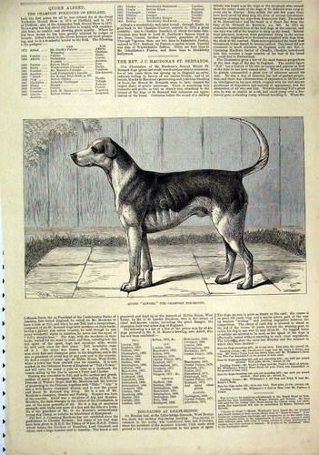 Original old antique print - original,