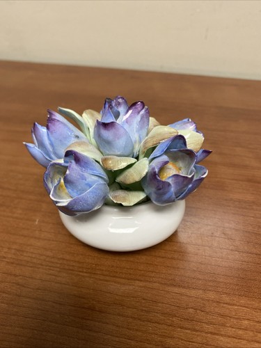 Royal adderley floral bone - floral,